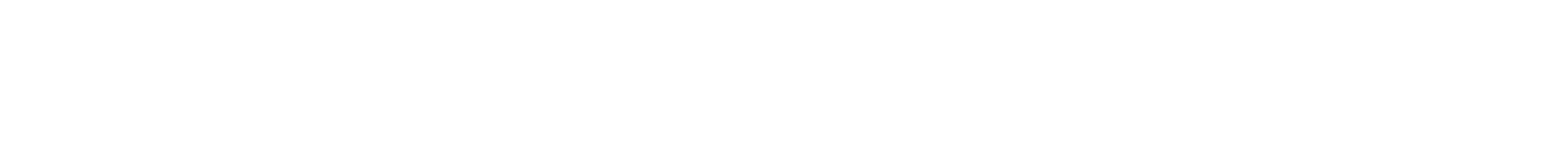 STADLER Logo